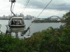 Sky Safari Gondola Lift At Taronga Zoo